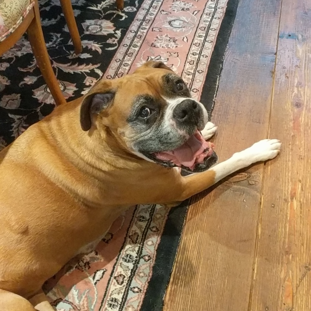Meet your Posher, Alexa